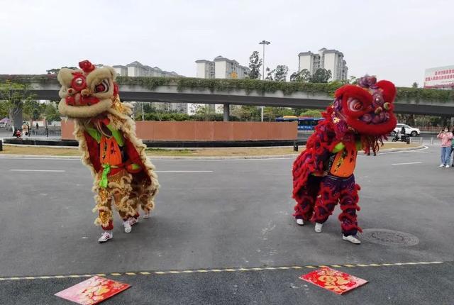 舞龍與舞獅好看嗎？獅舞龍騰威四海，追云逐日逐日氣勢升！(圖9)